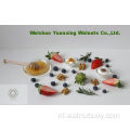 Voedsel voor Longevity Chinese Walnut Kernels Light Helften (LH)